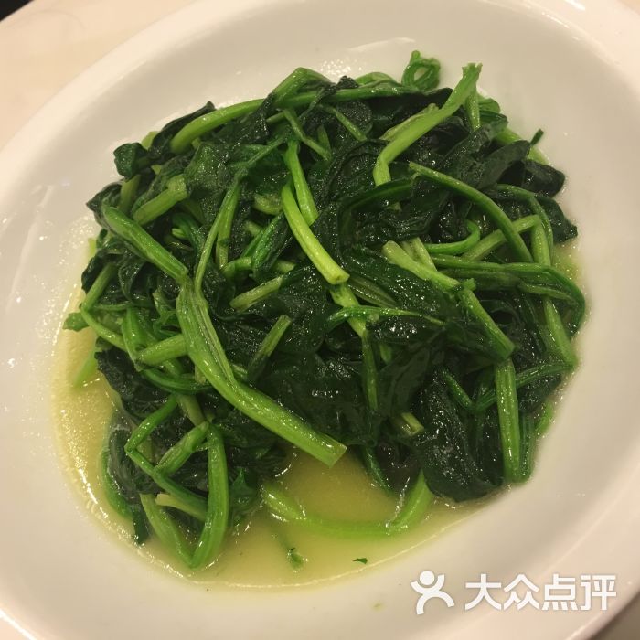 全部图片 菜 朱迪迪迪上传的图片