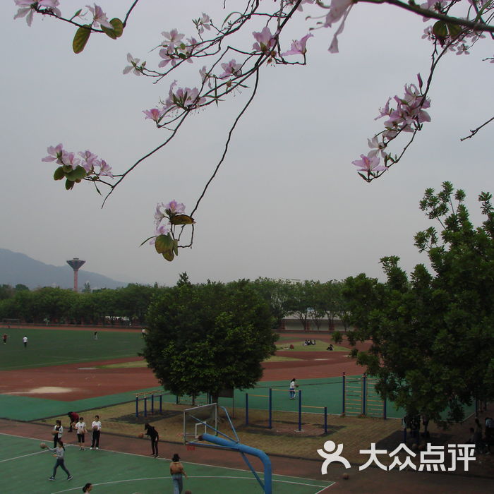 华南农业大学泰山区运动场图片-北京体育场馆-大众
