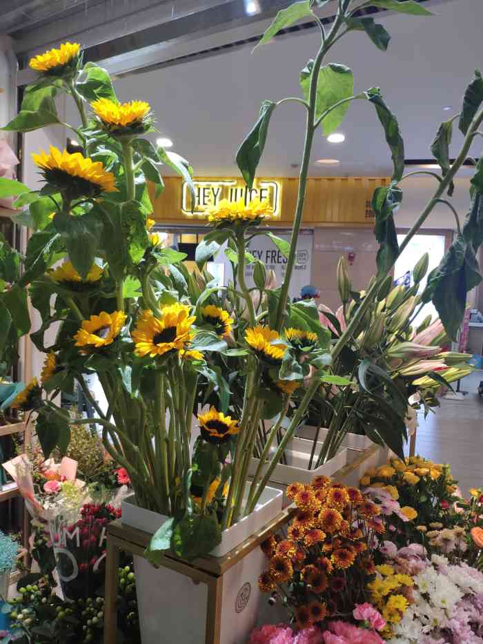 木子花坊(上海奉贤宝龙城市广场店"买了一束满天星198元,回家家人
