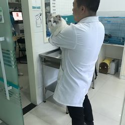 虹泰宠物医院(滨江月明分院)