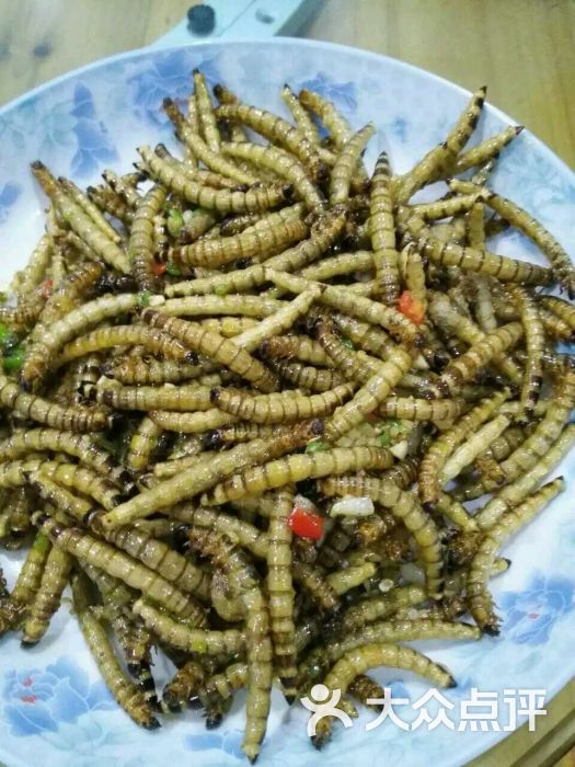 农庄房山水美食-美食-云浮图片-大众点评网忻州美食店图片