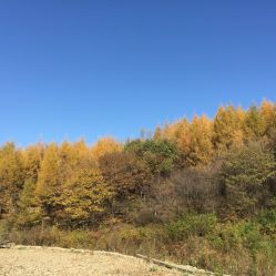 帽儿山简谱_延吉帽儿山(2)