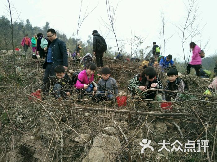 深山沟家庭农场图片 - 第7张