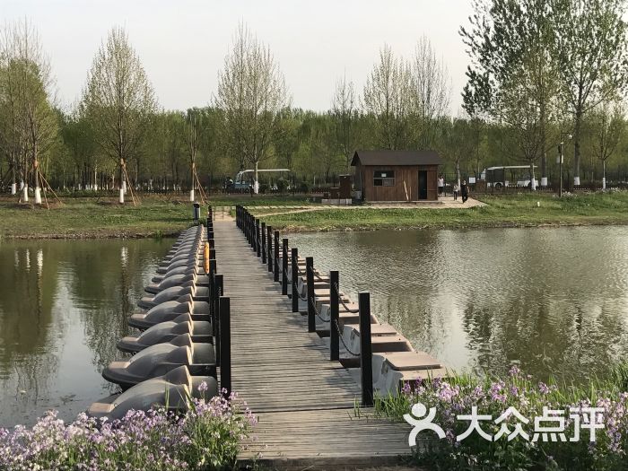汉石桥湿地公园图片 - 第2张