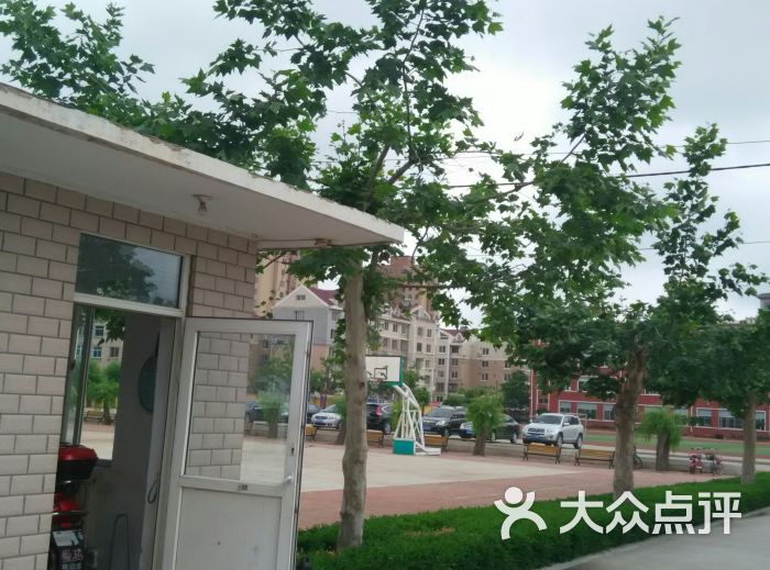普兰店区初中v初中作文常见的最题目图片