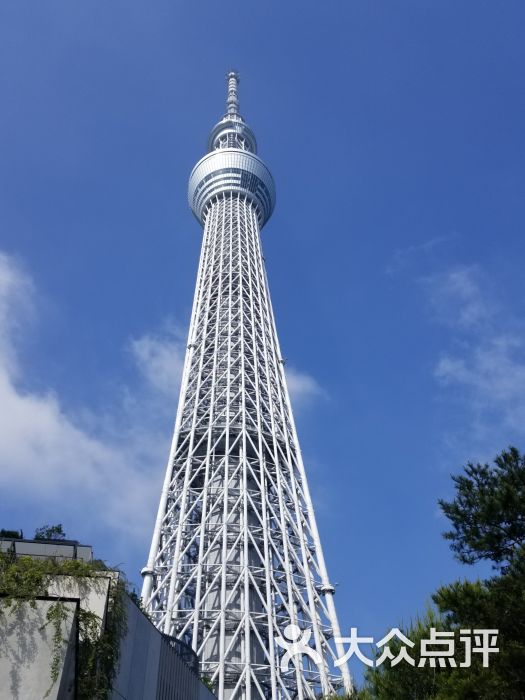 东京晴空塔图片 第1张