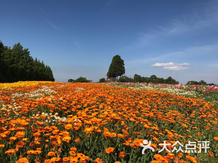 离酒店不远处的百花园