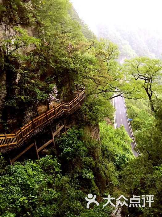 神农架天燕风景区图片 - 第7张