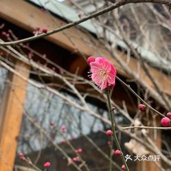花涧私厨