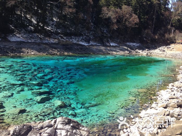 九寨沟风景区-图片-九寨沟县景点/周边游-大众点评网