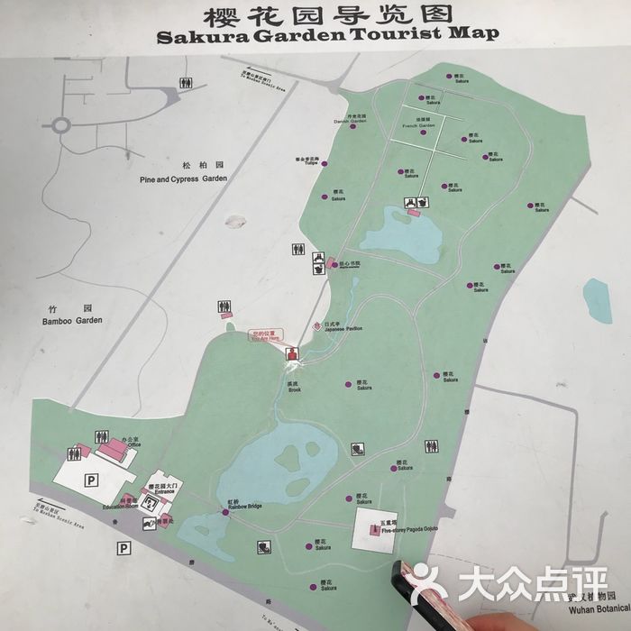 东湖磨山樱花园