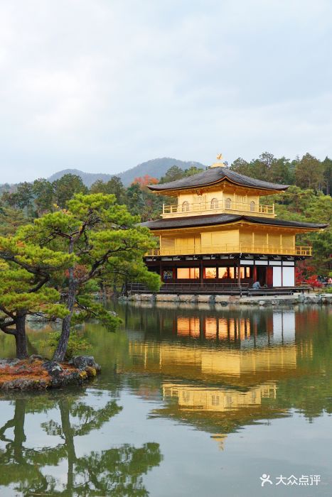鹿苑寺图片
