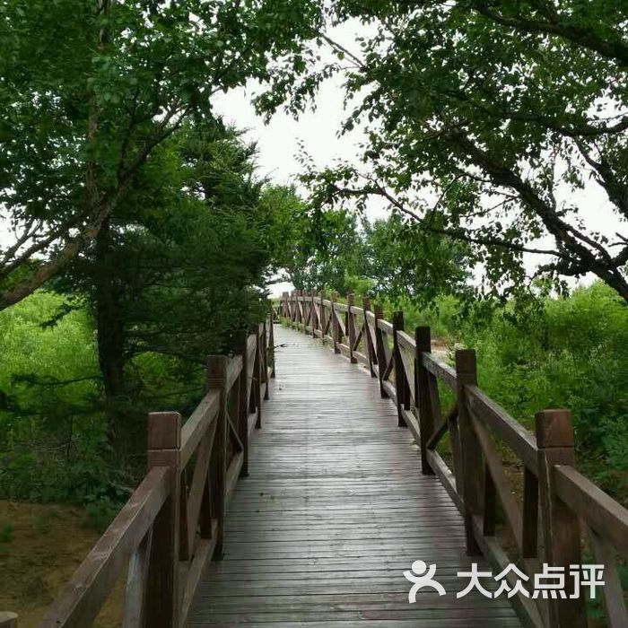 阳台山自然风景区