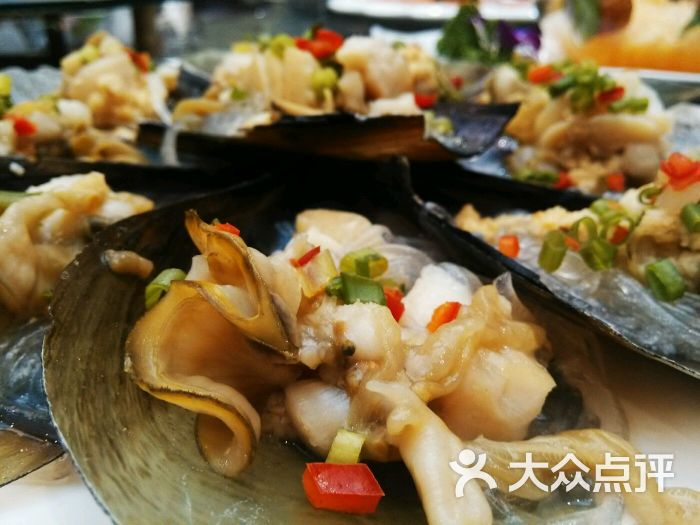 银丝江瑶贝