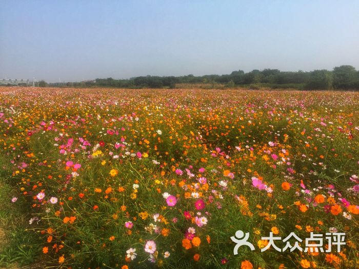 马场山-图片-南京周边游-大众点评网