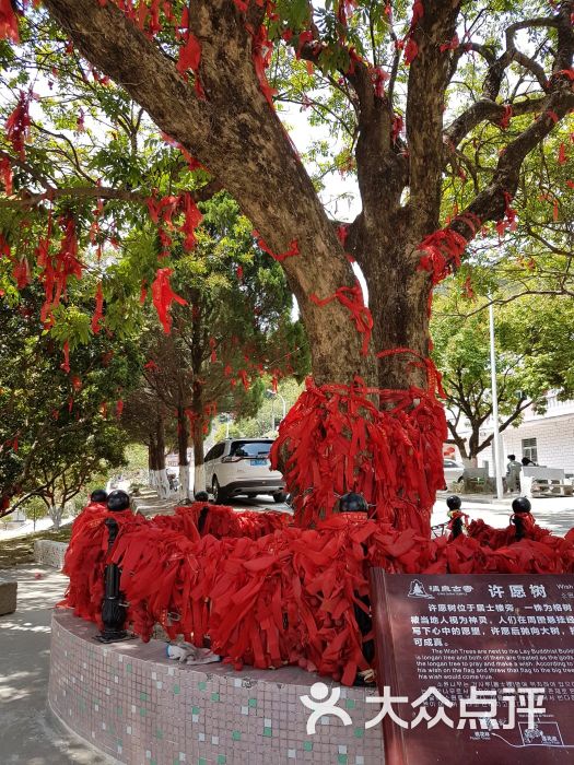 清泉古寺许愿树图片 - 第12张