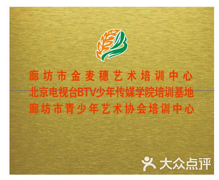 金麦穗艺术培训中心图片 - 第1张