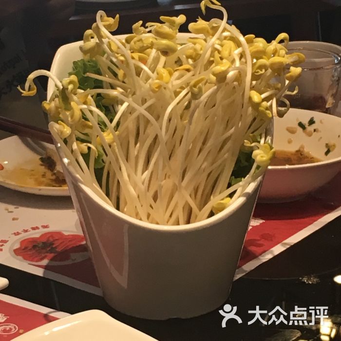 蜀九香火锅酒楼-四川豆芽图片-大庆美食-大众点评网