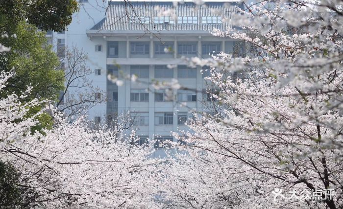 南京林业大学图片 - 第424张