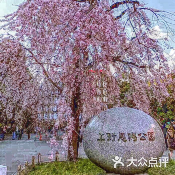 上野公园-图片-东京景点-大众点评网