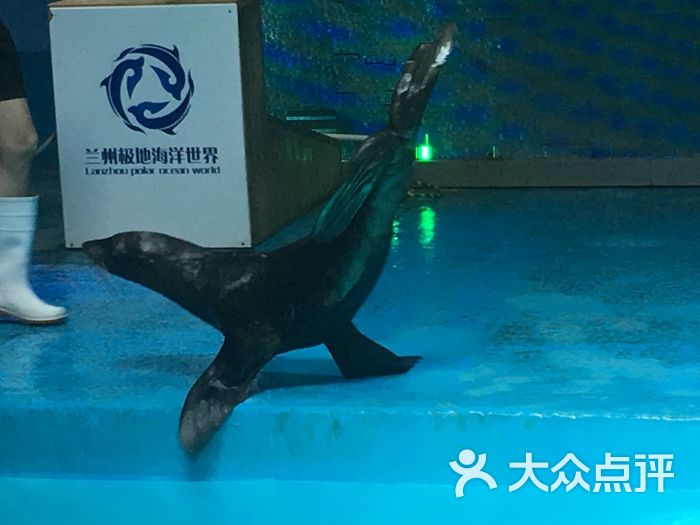 兰州极地海洋世界图片 第7张