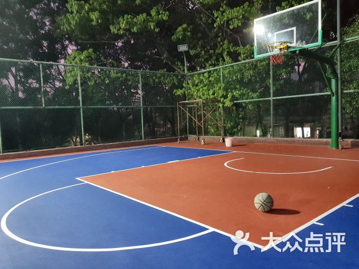 金湖花园篮球场图片 - 第2张