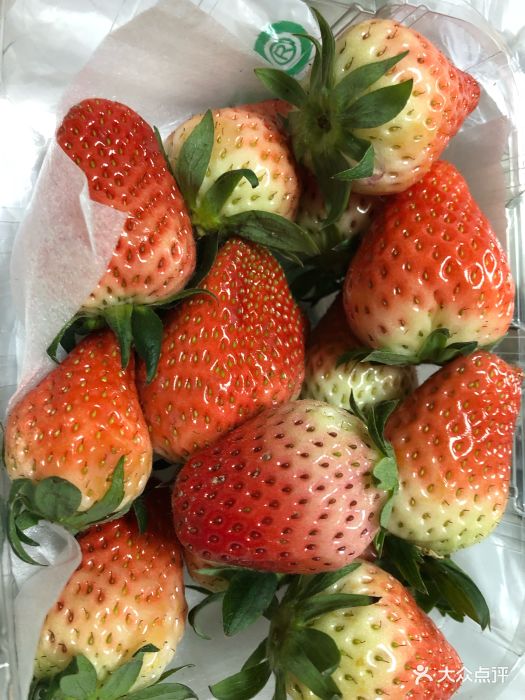 鲜丰水果(千岛湖明珠四区店)奶油草莓图片