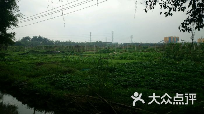 桃花岛农庄图片 - 第163张