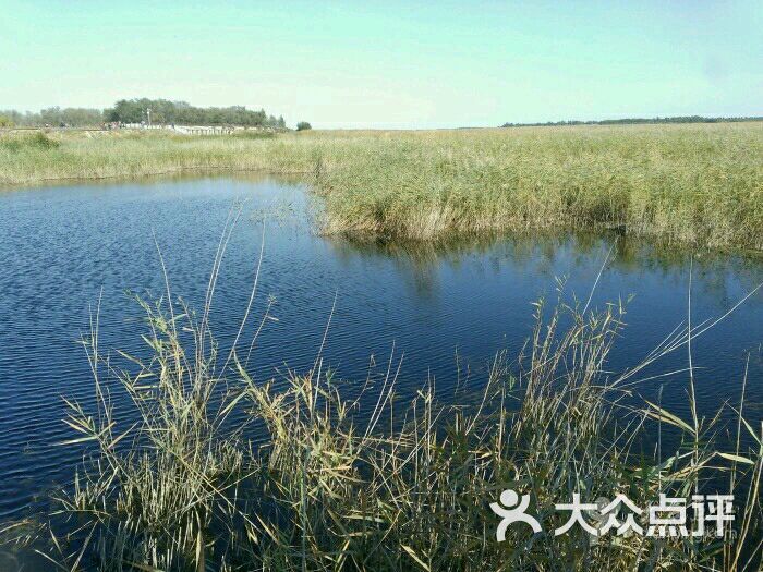 向海景区-图片-通榆县周边游-大众点评网