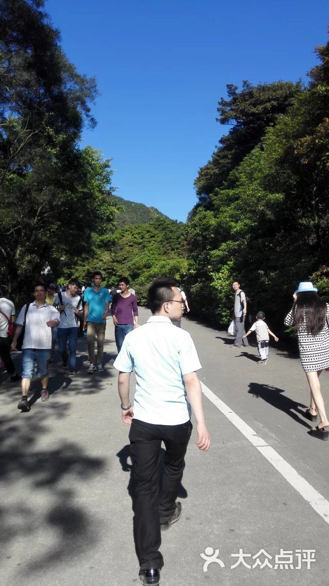 梧桐山-梧桐山环山公路图片-深圳周边游-大众点评网