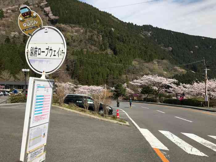 鹤见岳-"鹤见岳形成于1100多年前的鹤见山系的火."