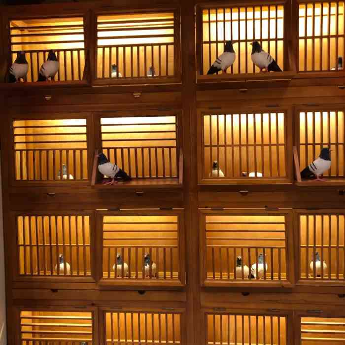 孙大厨鸽子馆(自强路店)