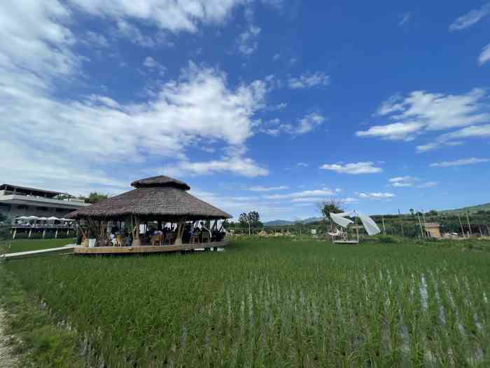 小草垛田野农场