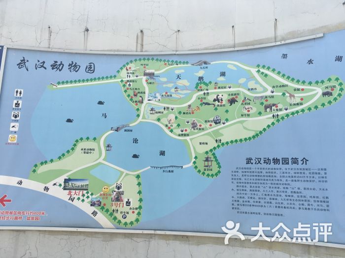 武汉动物园地图图片 - 第6张