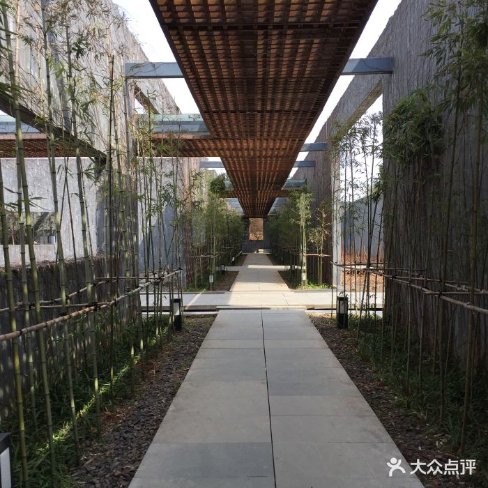 梅园的全部点评 - 金华周边游