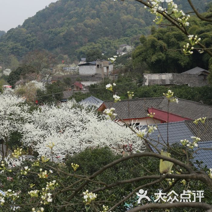梨花溪风景区