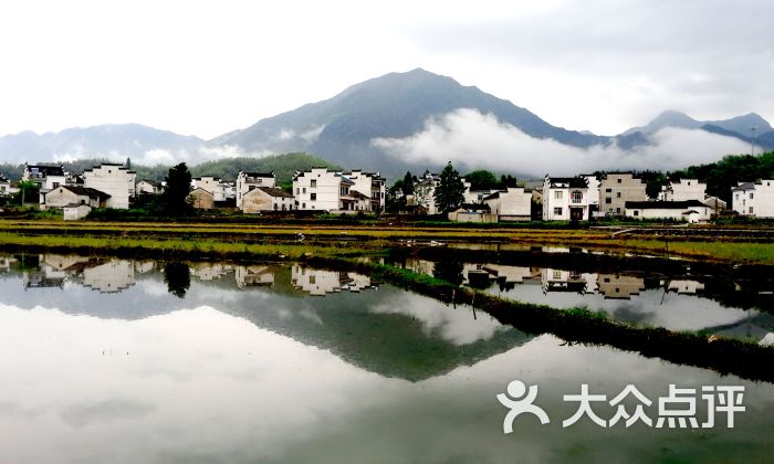 江村景区图片 - 第5张