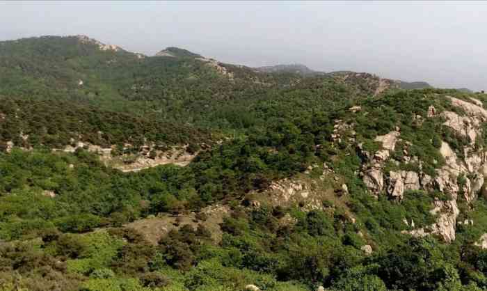 徂徕山汶河景区-"徂徕山也在泰安,节假日大部队都奔着