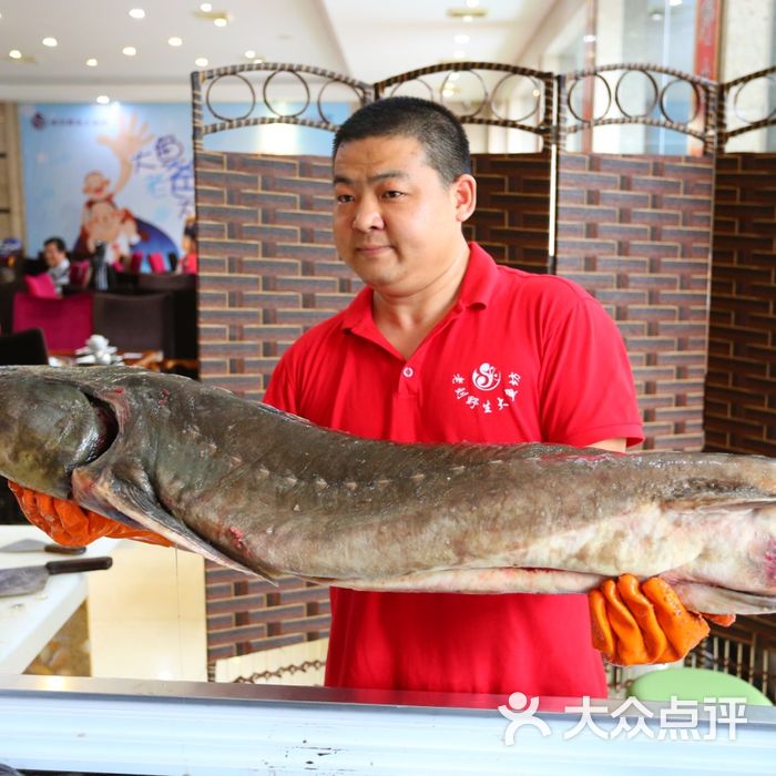 老刘野生大鱼坊