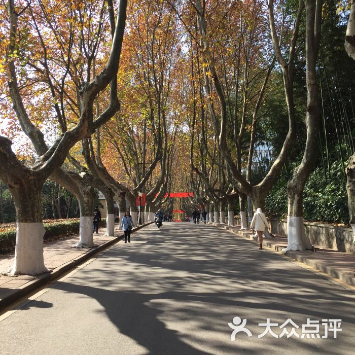 河海大学(西康路校区)图片 - 第1张