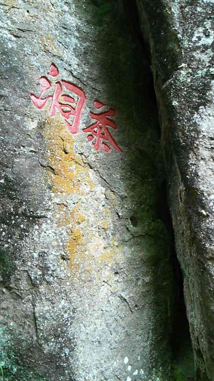 茶洞"拖延症晚期,从武夷山回来都一个月了才陆陆-大众点评移动版