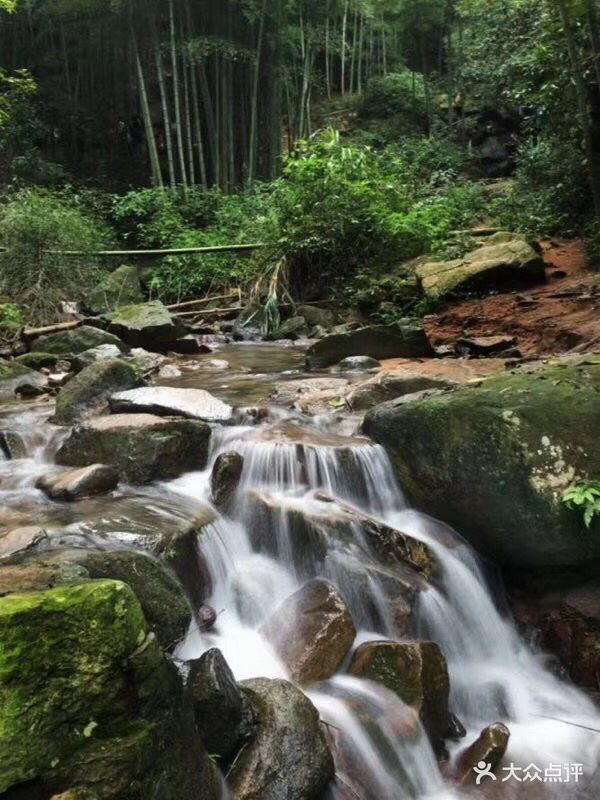 莫干山风景区图片 - 第1714张