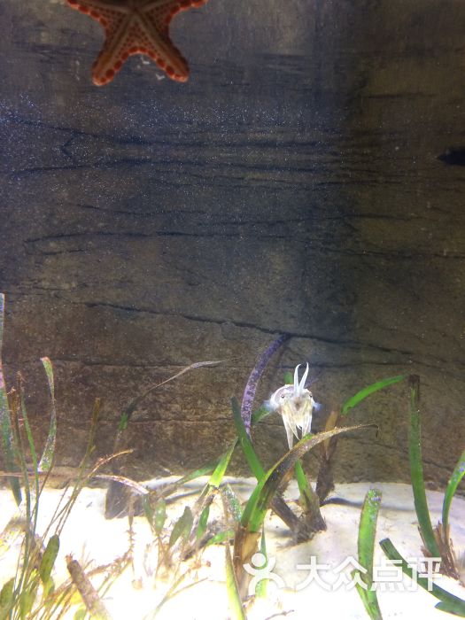 悉尼水族馆-图片-澳大利亚景点