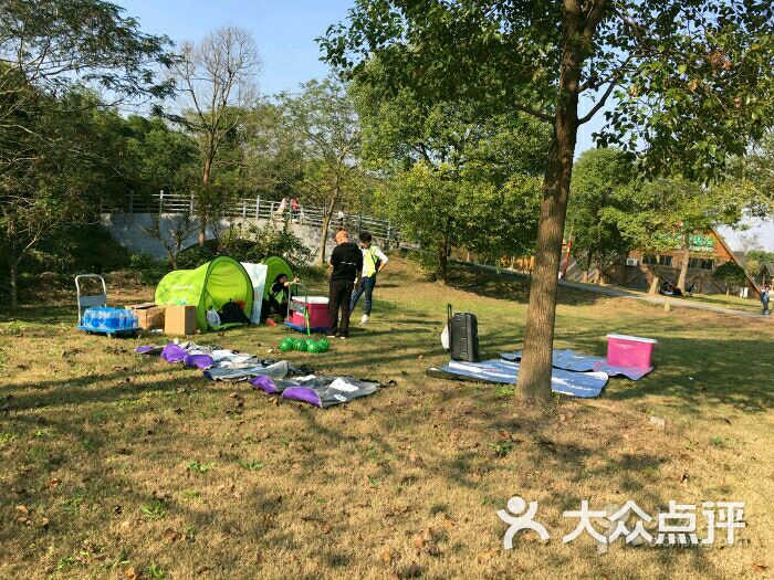 东平国家森林公园烧烤图片 第86张