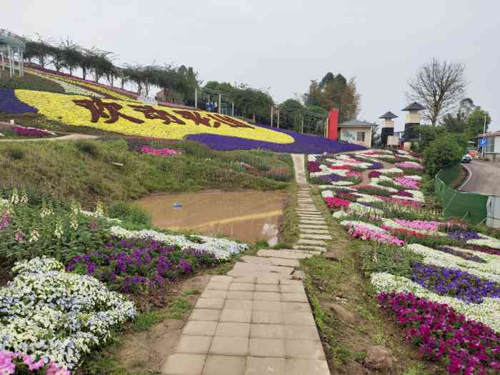 彩山四季花海景区-"大年初五一家人没事儿,就说来彩山