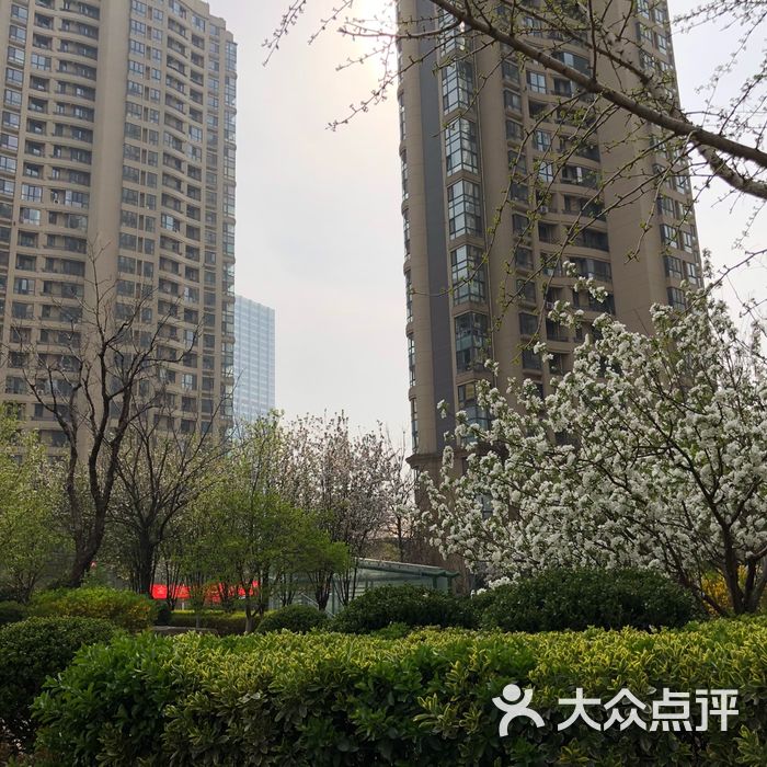 金领花园
