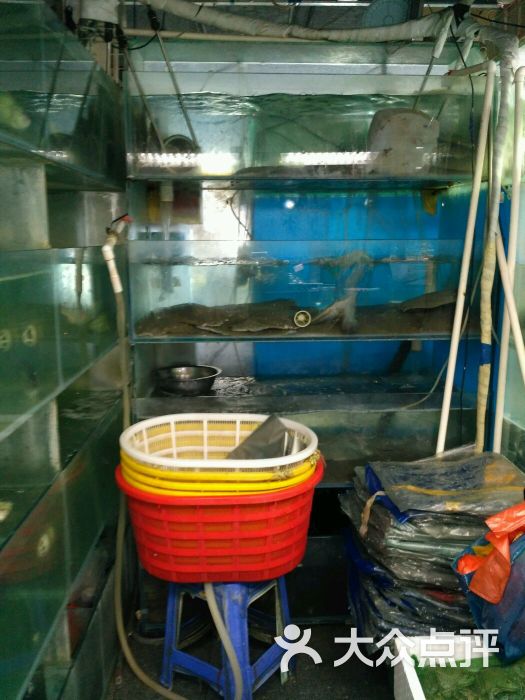 岳各庄批发市场-图片