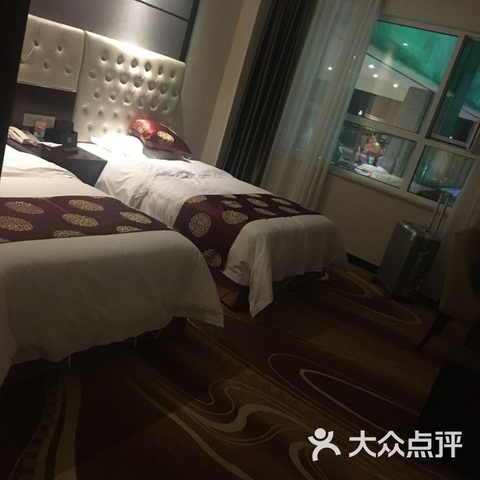 中卫禹都丽兹酒店图片 第4张