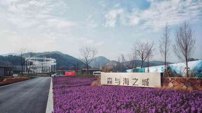 森与海之城售楼部