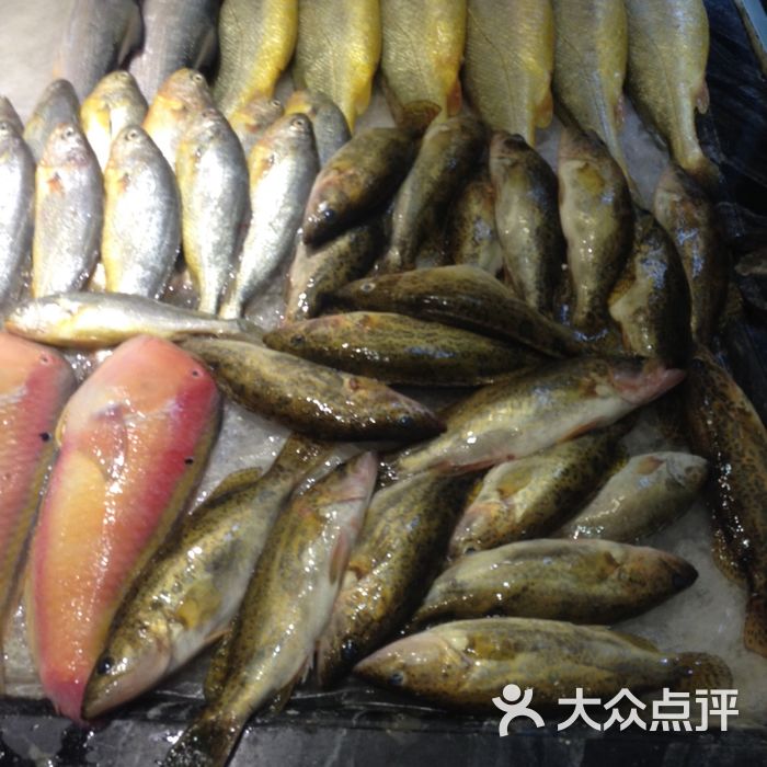 海门鱼仔店
